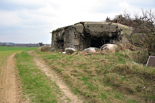 Fotografie