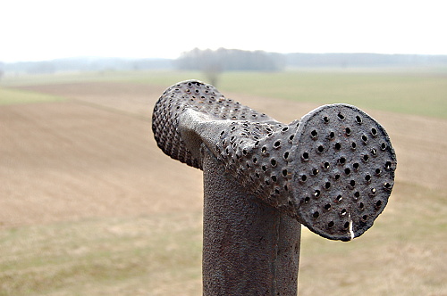 Fotografie