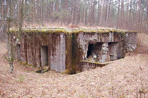 Fotografie