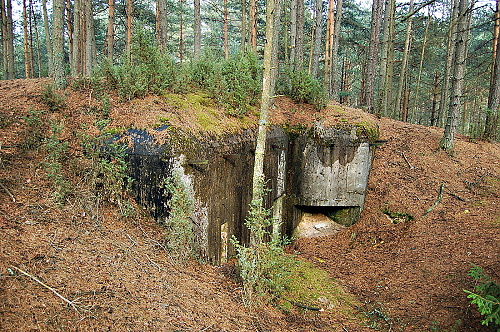 Fotografie